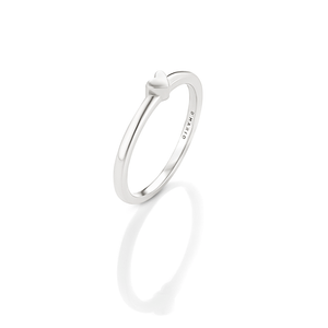 ANILLO 8391